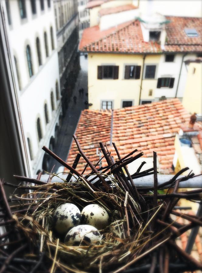 Appartement La Piccionaia Florence